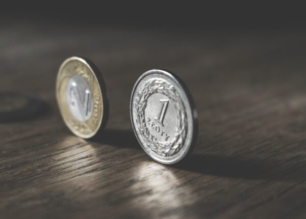 alimenty na rosłe dziecko