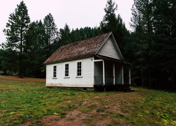 A wonderful scene of a lonely small house in the forest