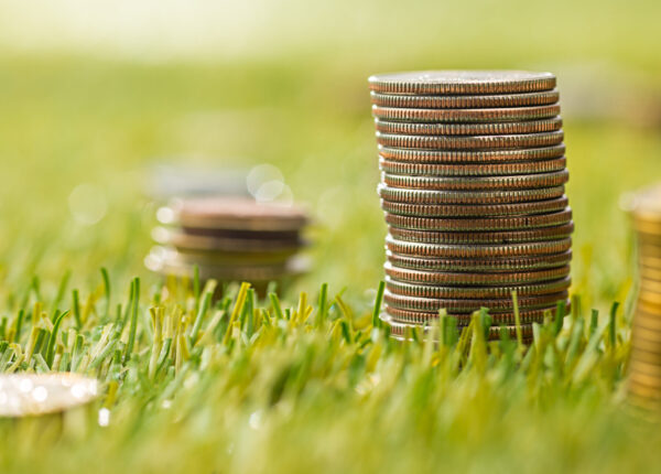 The columns of coins on green grass. Saving and investment financial concept