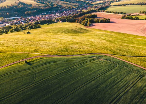 Large areas of land covered in green grass during daytime